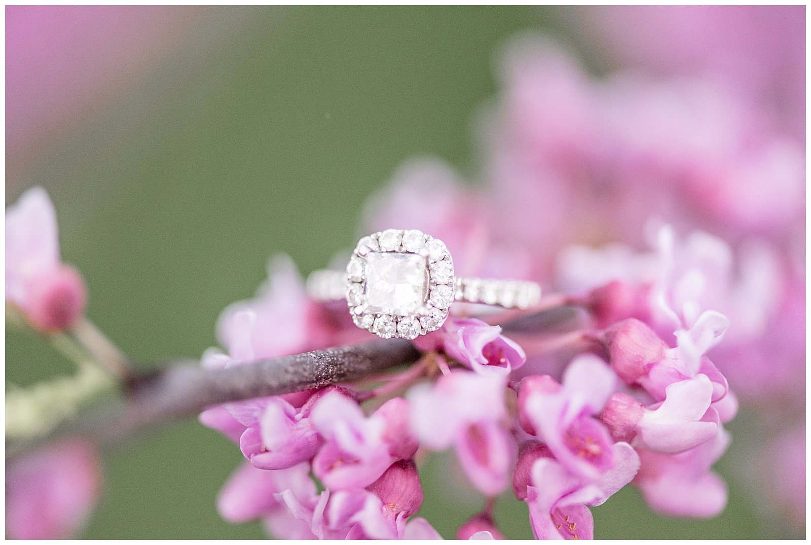 engagement ring on purple flowering tree