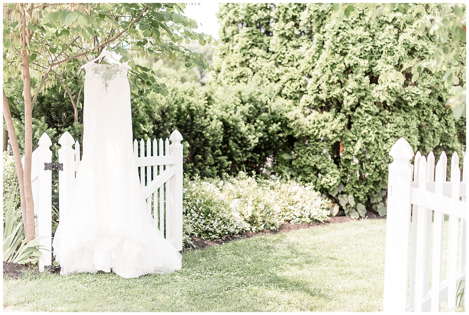 wedding dress hanging on a tree branch in front of a fence