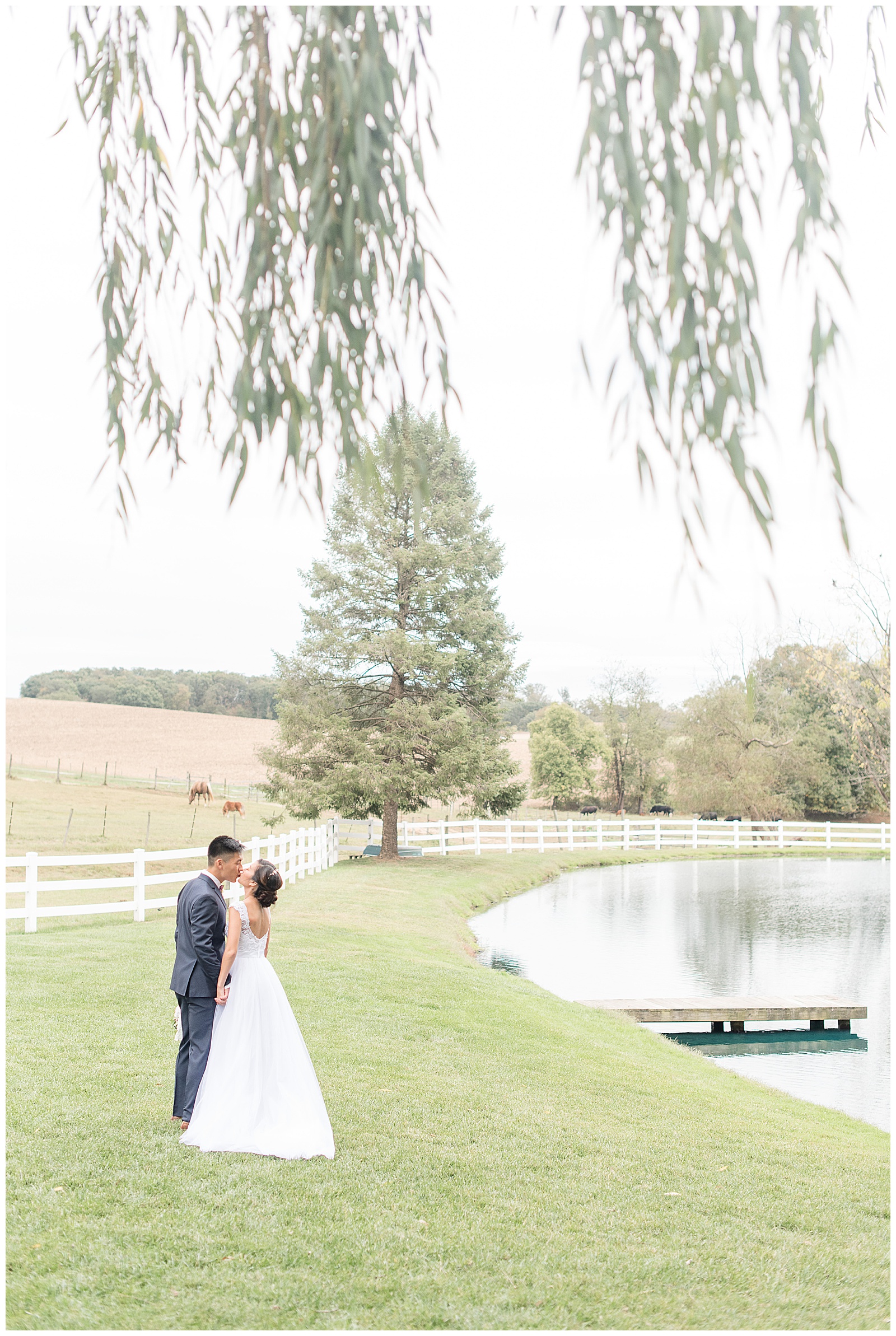 photo of bride and groom kissing under willow tree at Pond View Farms