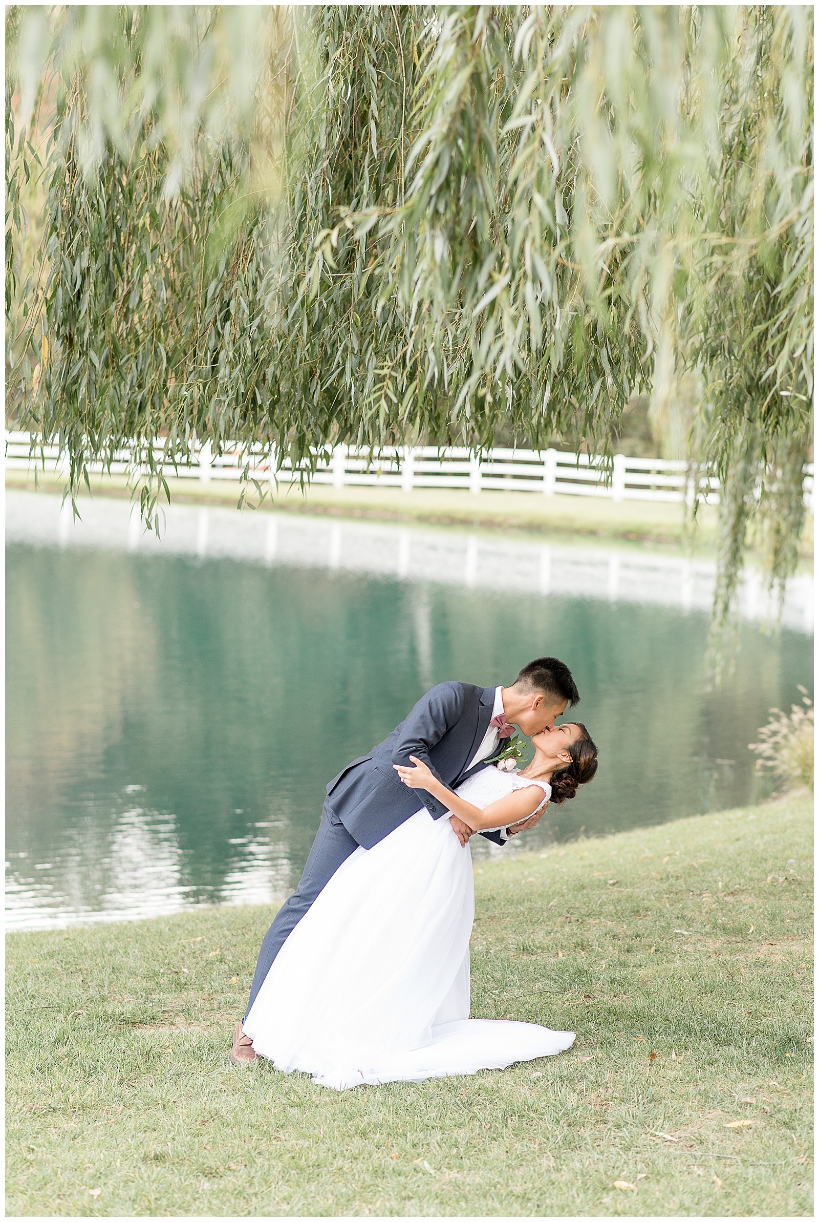 groom dipping bride under willow tree at Pond View Farms