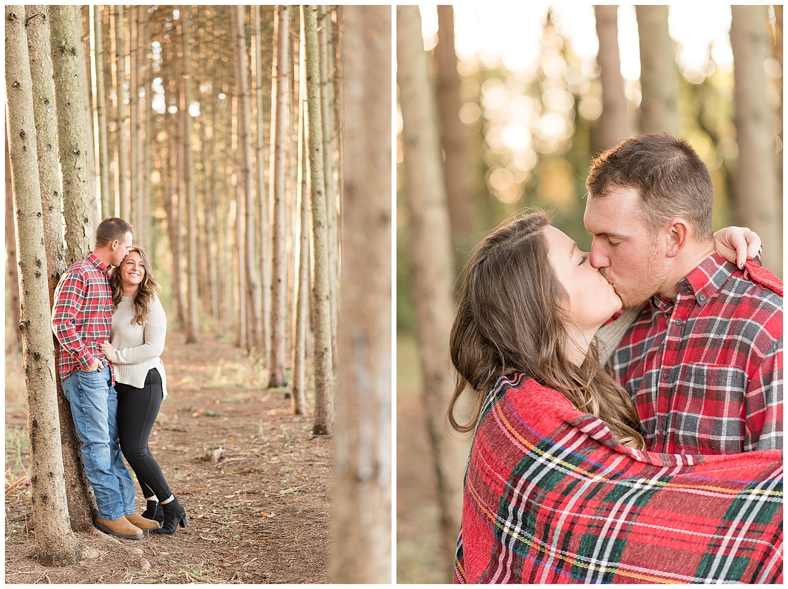 engagement session at Overlook Park in Lancaster County amoung tall pine trees