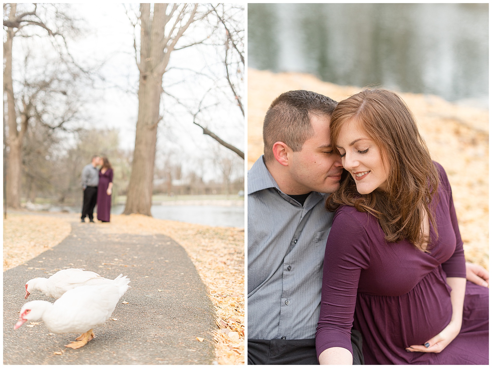 duck crossing during maternity session