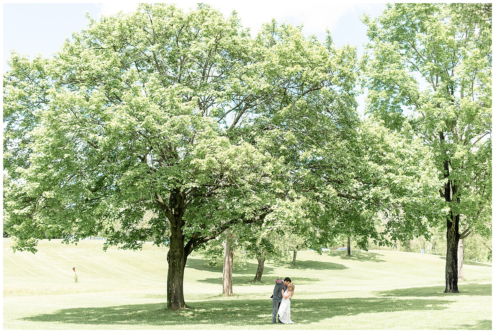 couple kissing under large trees in open grass area