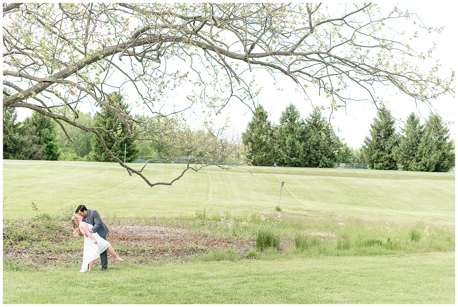 groom dipping bride under large curving tree branch