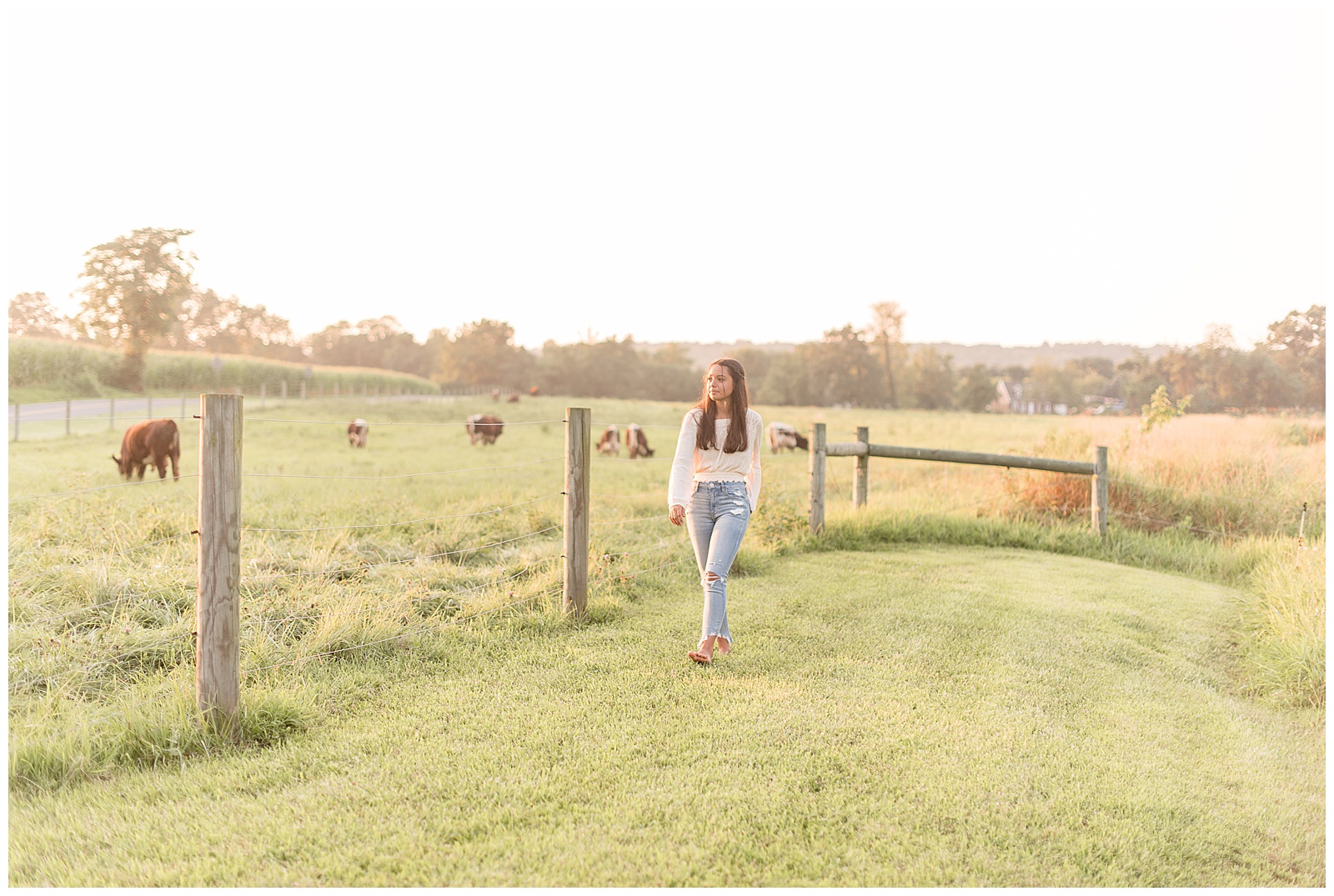 high school senior walking along cow pasture with cows in distance as she smiles off to side