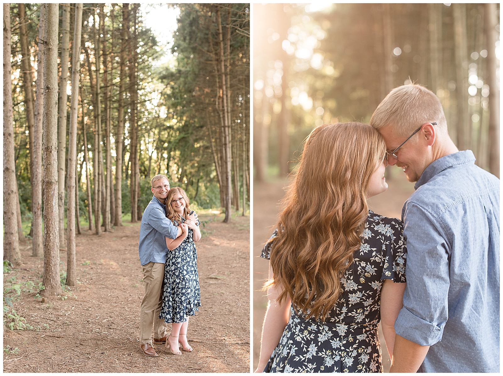 engagement session in a grove of pine trees at Overlook Park, Lancaster, PA