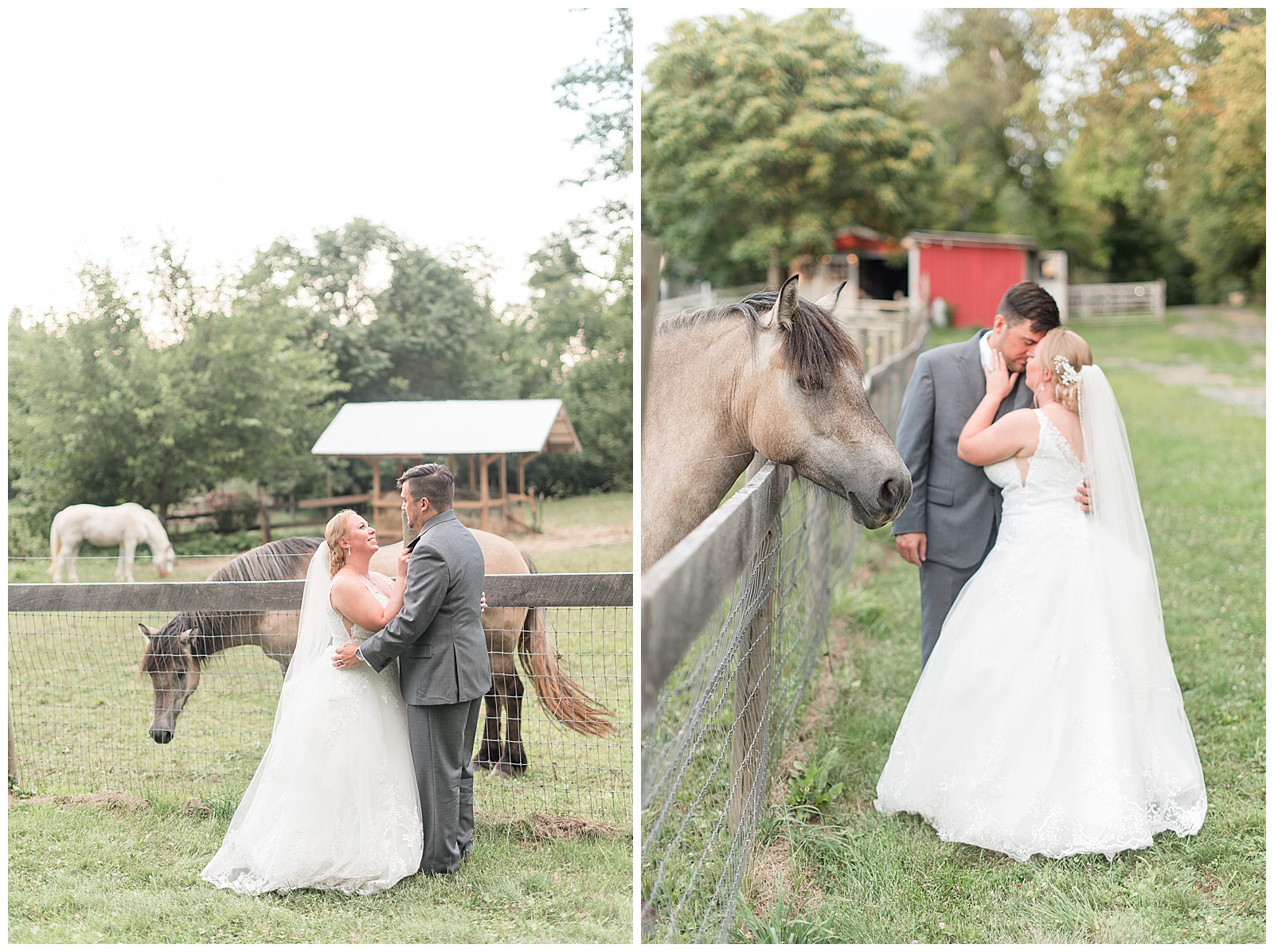 sunset photos of husband and wife in front of farm land with horses around