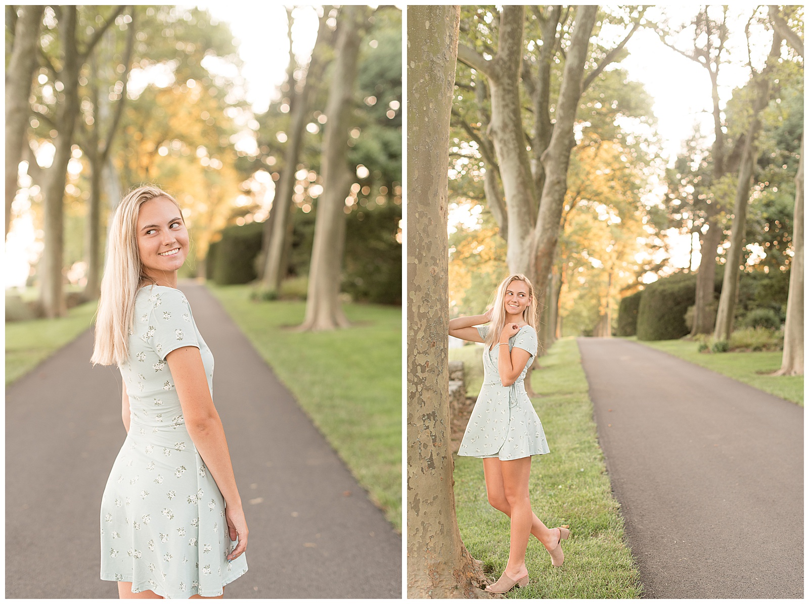 senior standing on road lined with trees for sunset senior session at Drumore Estate