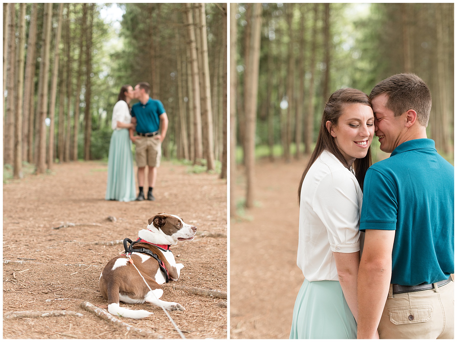 the couple is in the background with the rows of evergreen trees behind them standing on the path with their dog closer to the camera laying on the ground looking off in the distance and the couple is kissing with the girl on the left and the guy on the right side at Overlook Park in Lancaster, PA, close up photo of the couple standing close with the girl on the left standing towards the guy with her eyes looking down and smiling as the guy stands on the right with this back to the camera holding her hand and resting his face against the left side of her face and they are both smiling while standing on the path with the rows of evergreen trees surrounding them at Overlook Park in Lancaster, PA