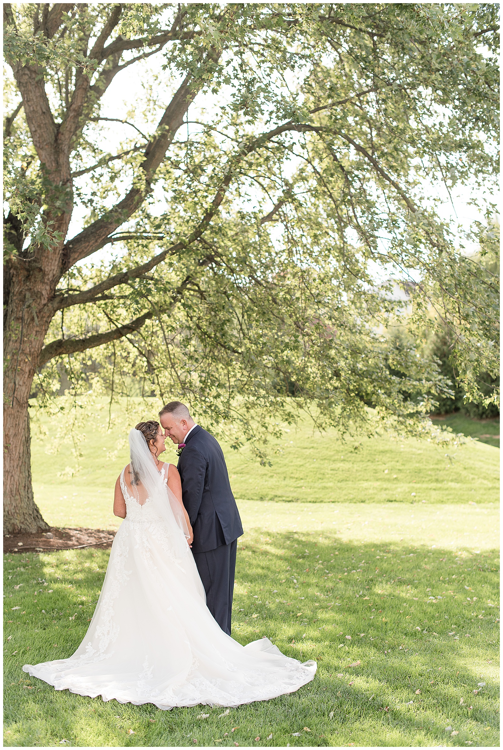 bride and groom facing away from camera with foreheads resting together in front of large tree