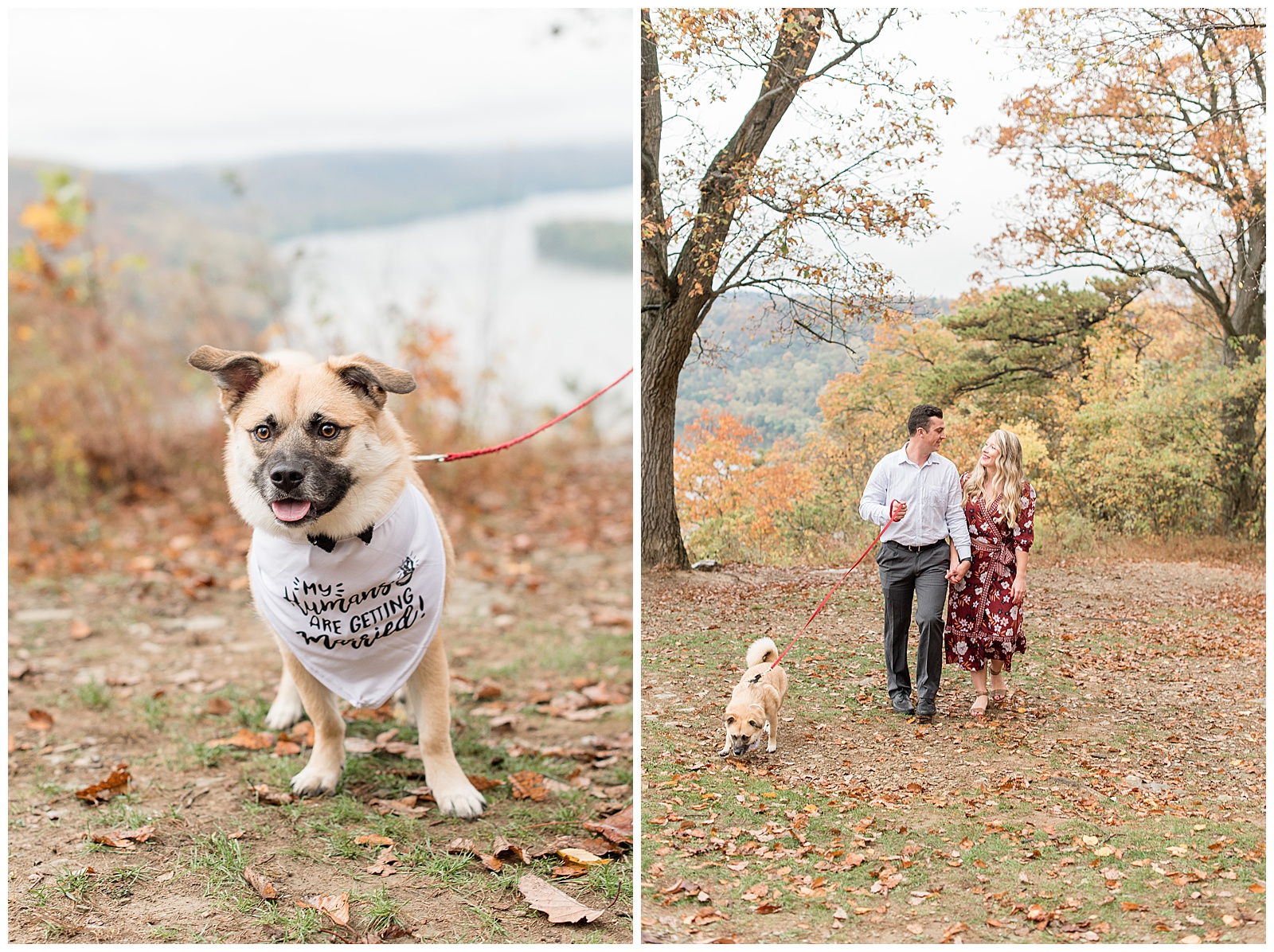 couple with puppy wearing shirt that says my humans are getting married