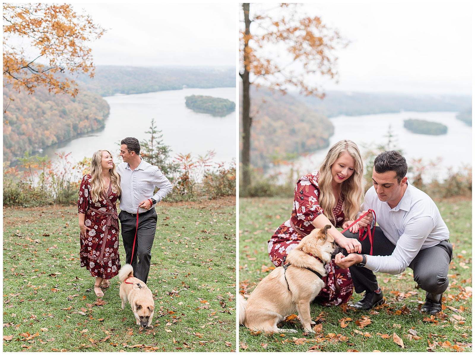 couple plays with their puppy on cloudy fall day atop grassy lookout point