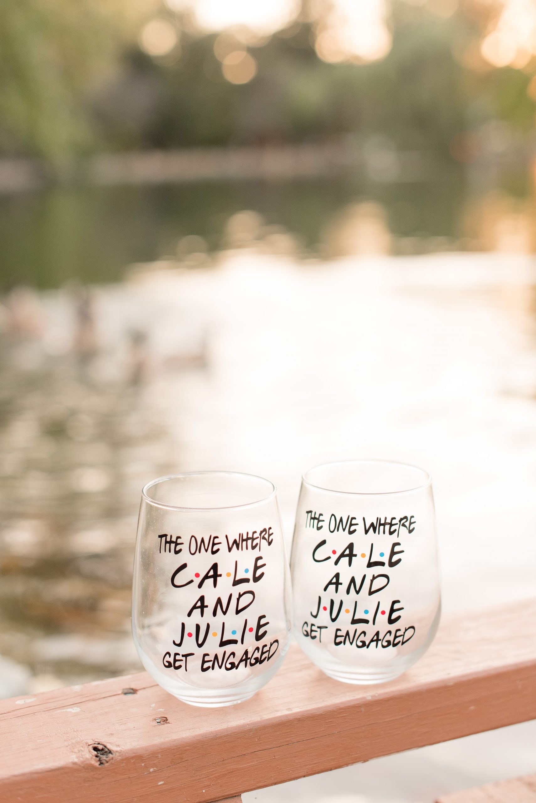 two wine glasses with friend's slogan on them sitting front of pond at long's park