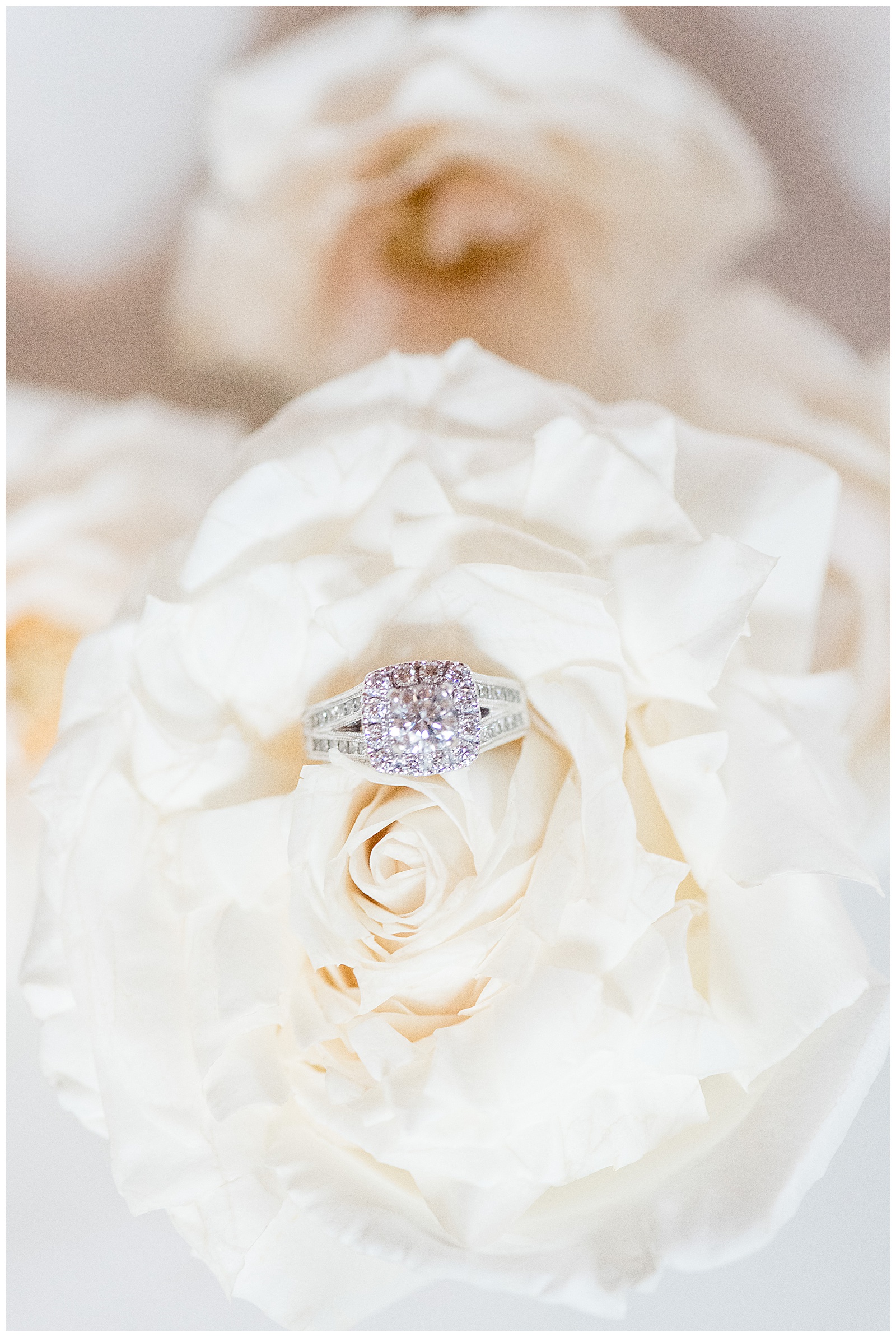 bride's diamond ring displayed in ivory rose at mill at manor falls