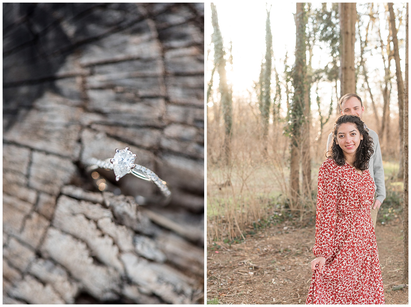 diamond engagement ring displayed in tree stump during engagement session