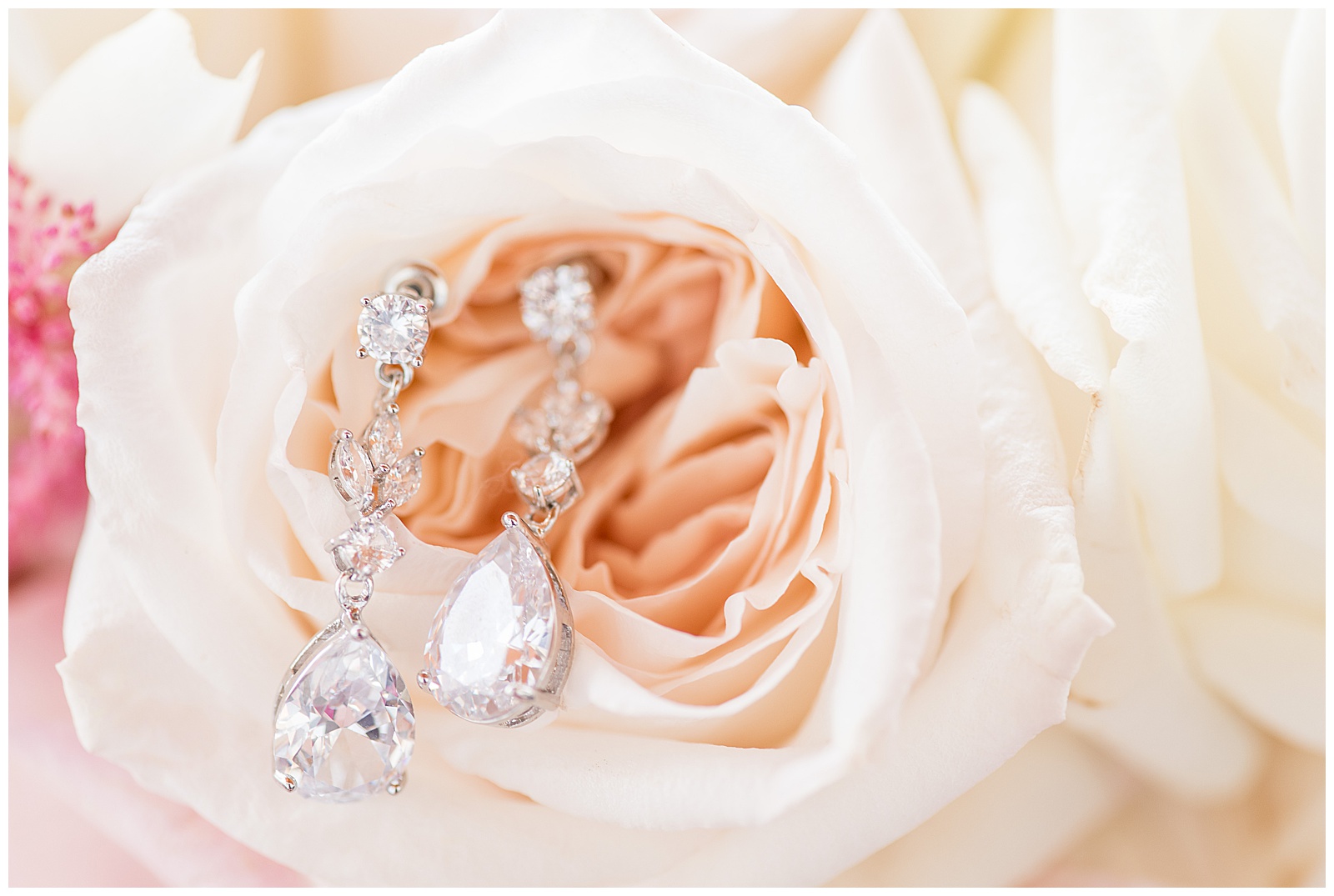 close up photo of diamond statement earrings resting inside peach colored rose