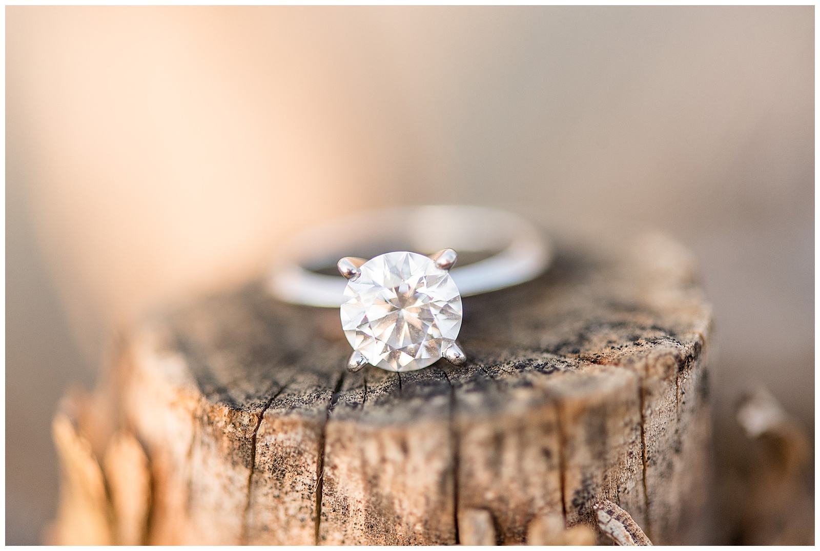 close up photo of stunning silver engagement ring resting on wooden log in lancaster pennsylvania