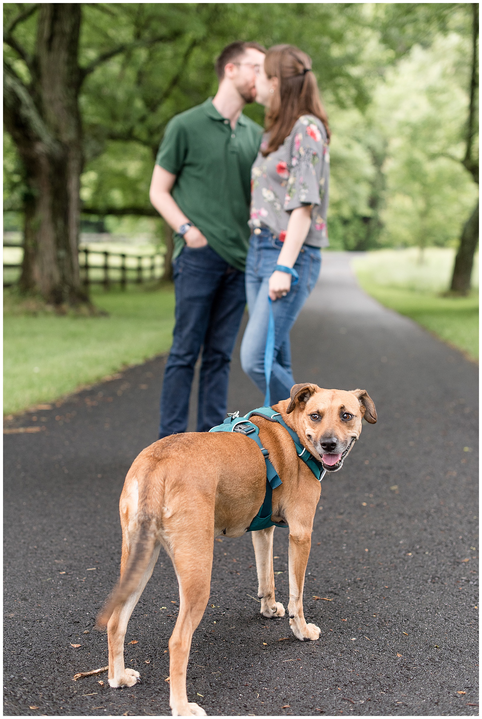 couple kissing while standing behind their puppy holding his blue leash on pathway in central pennsylvania