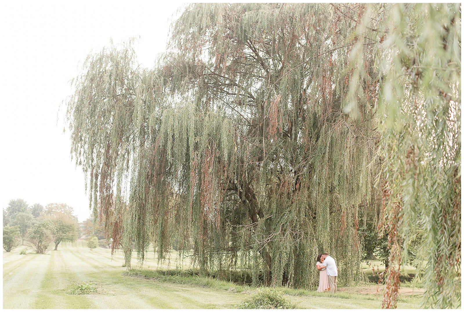 couple on right side of photo kissing under enormous willow tree in lancaster pennsylvania