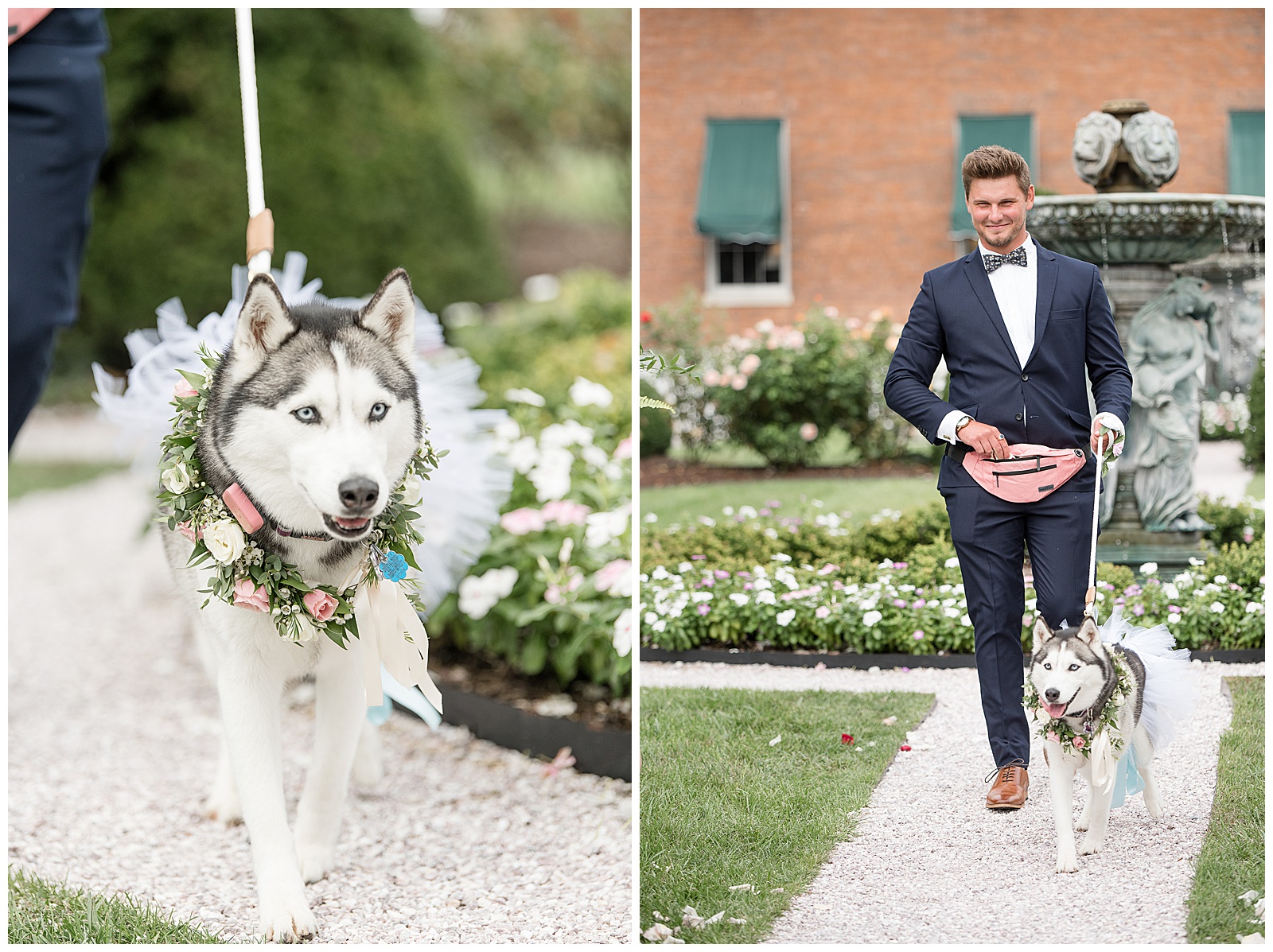 guy walking husky dog "flower girl" down the aisle as outdoor wedding ceremony begins