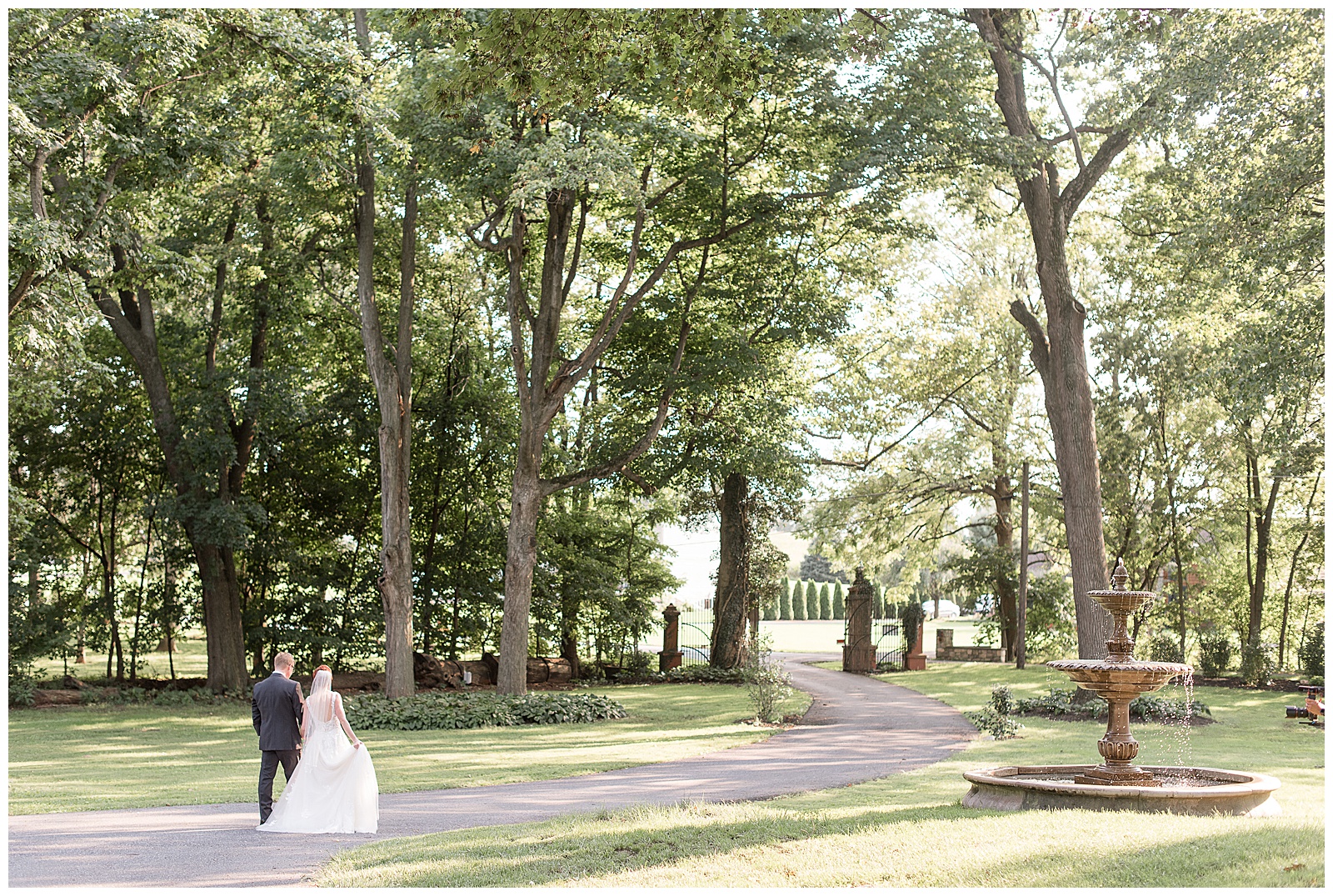 bride and groom with backs toward camera standing on long driveway with mature trees surrounding them at cameron estate inn