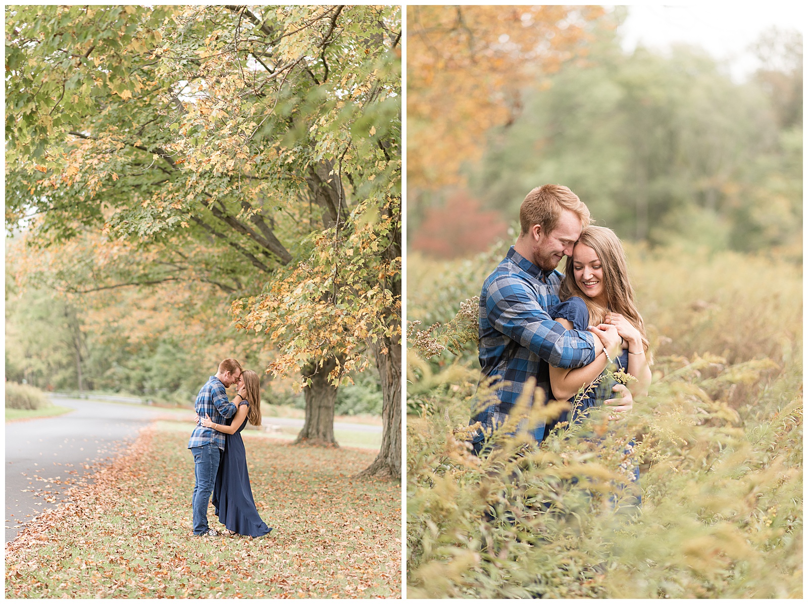 engaged couple hugging on grass covered in fallen leaves by row of trees with their leaves changing colors