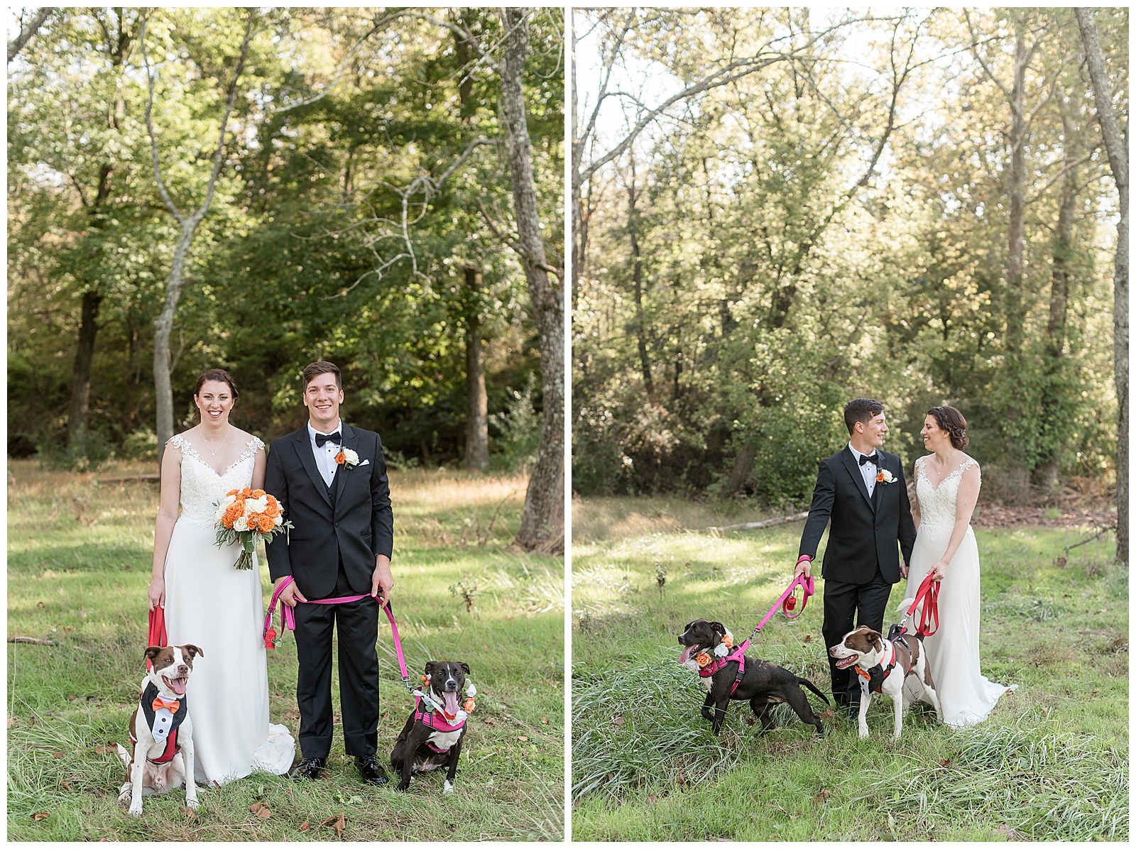 bride and groom standing outdoors holding the leashes of their two dogs and smiling at the camera on sunny day