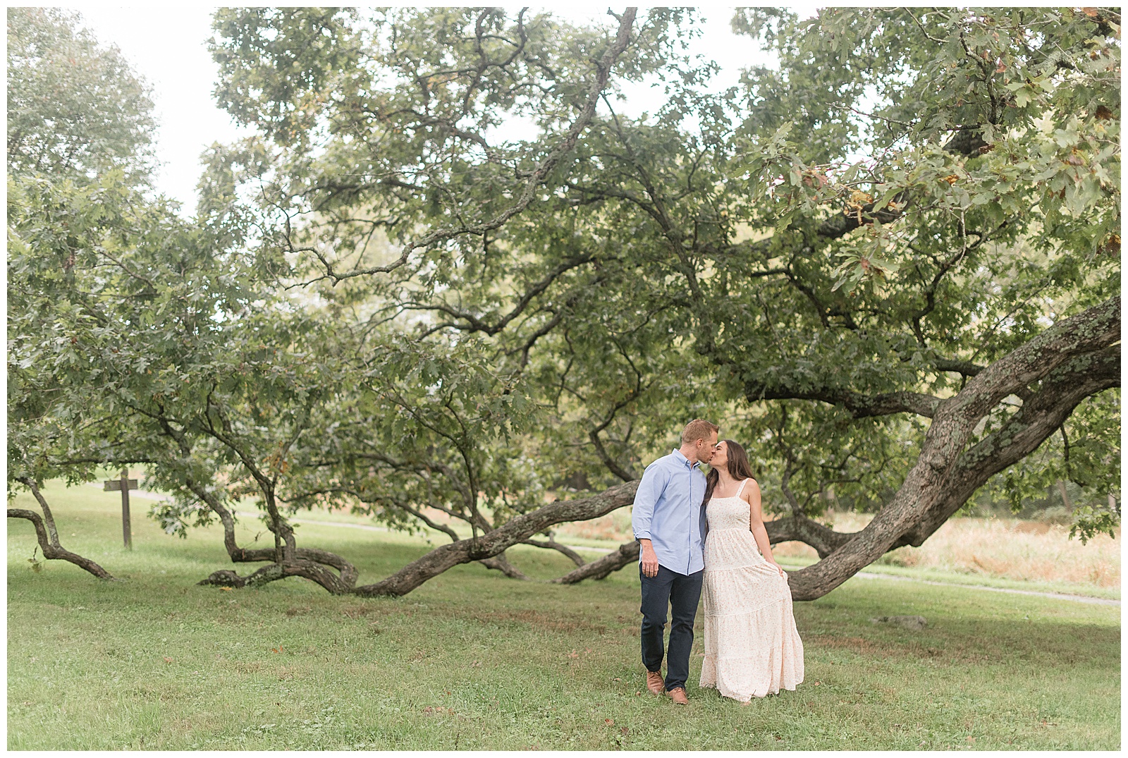 engaged couple walking towards camera kissing with large tree branches behind them in grassy yard at springton manor farms