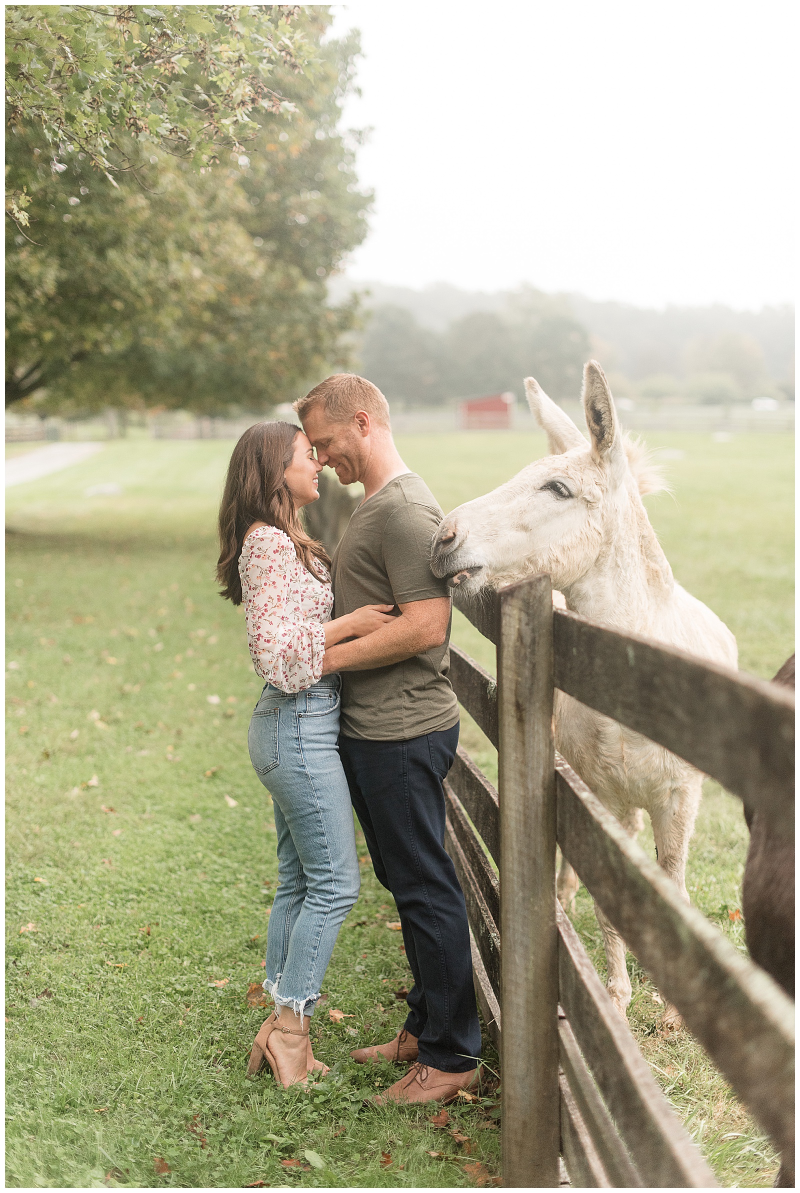 engaged couple hugging tightly with foreheads touching standing by fence with white horse visiting them at springton manor farm
