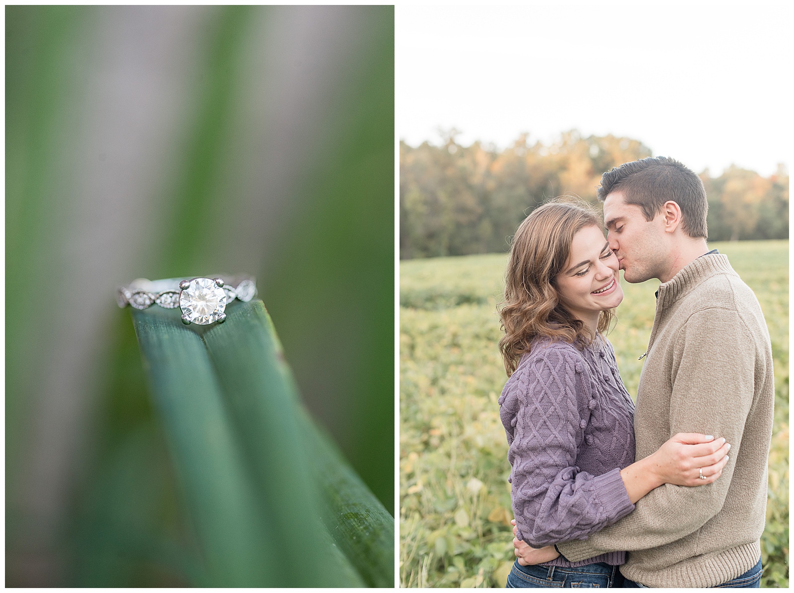 beautiful diamond engagement ring resting atop the long green leaf of a plant in central pennsylvania