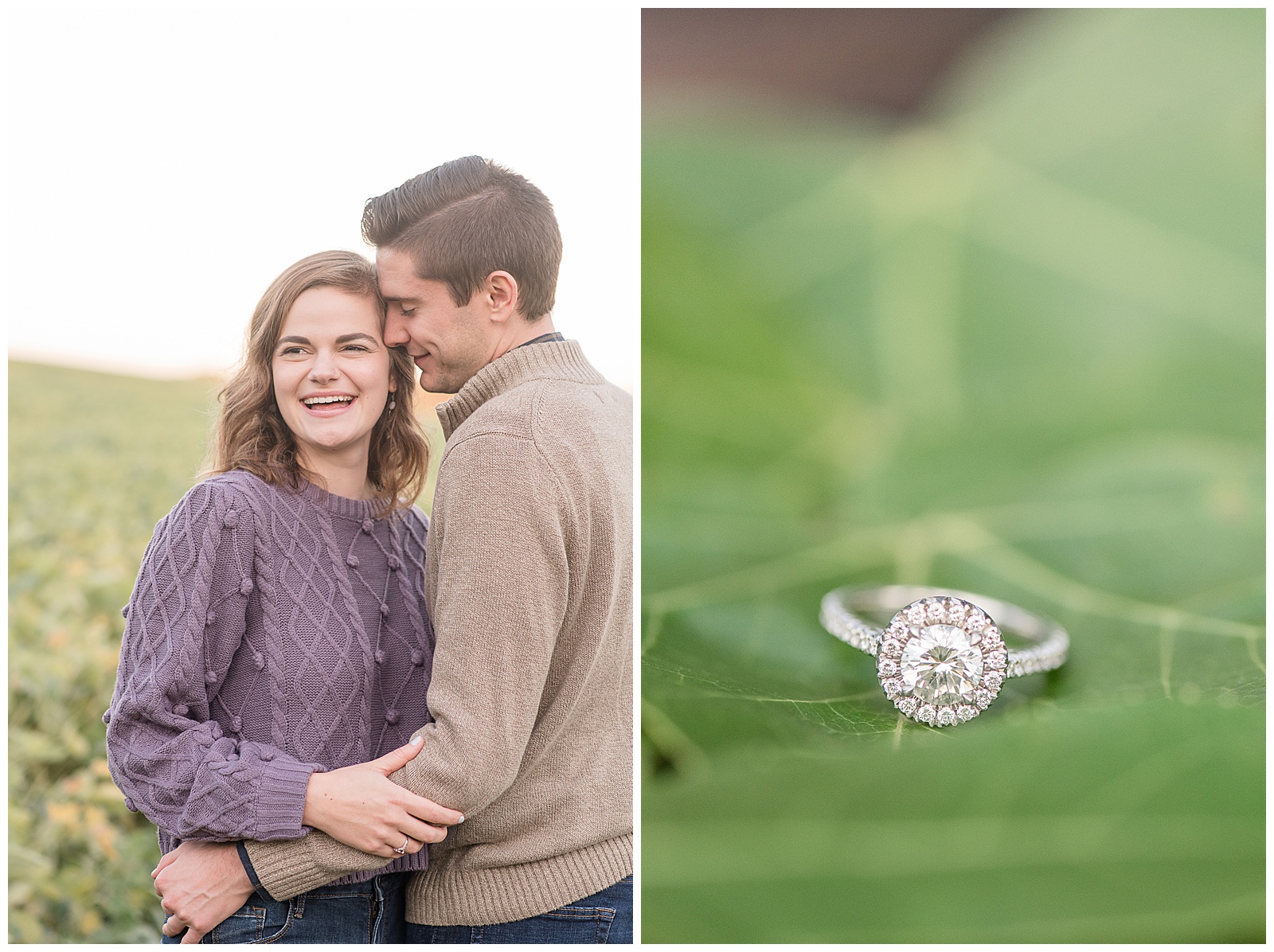 white gold and diamond engagement ring setting atop large bright green leaf