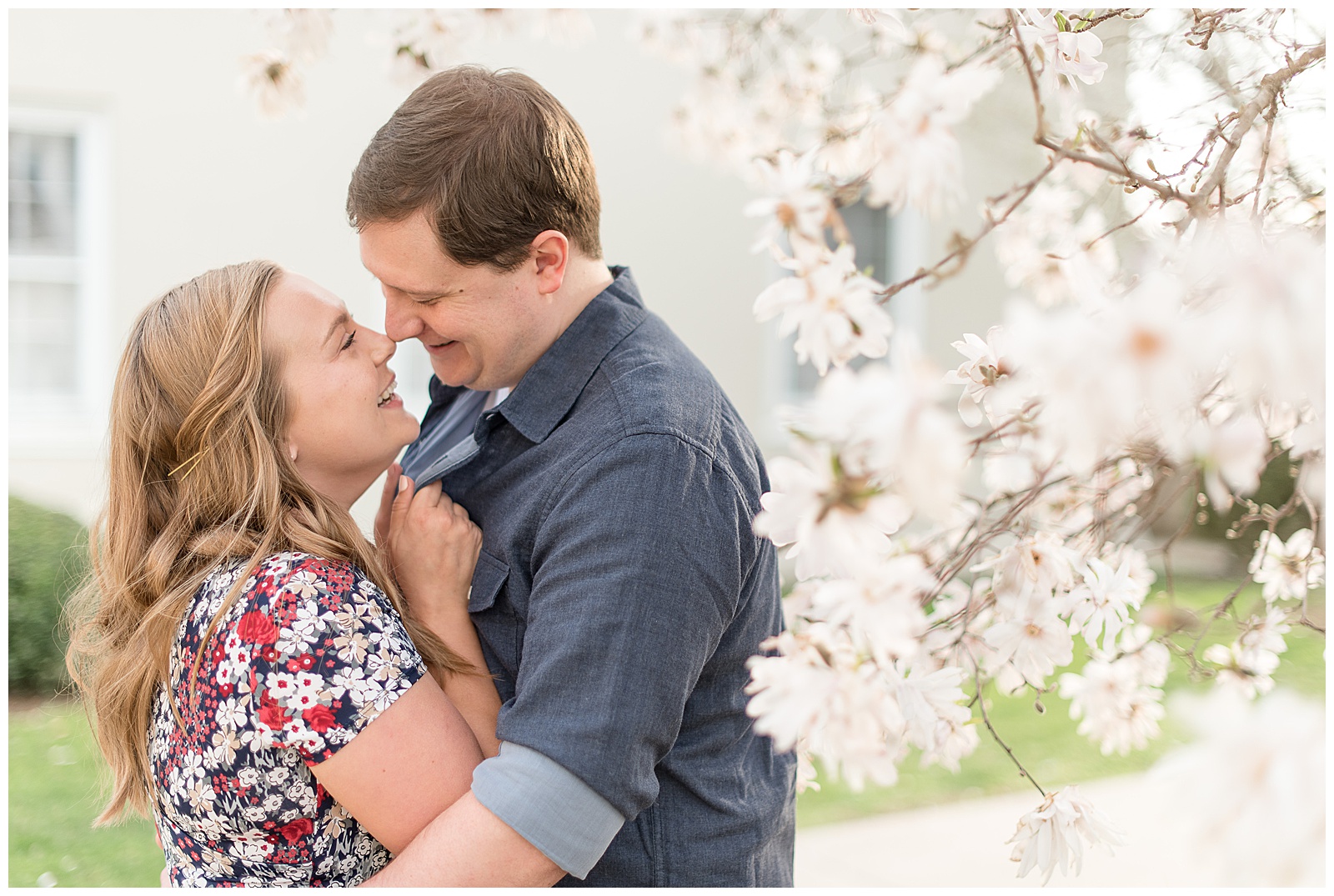 engaged couple hugging and almost kissing under the springtime white blossoms of a tree on a sunny day