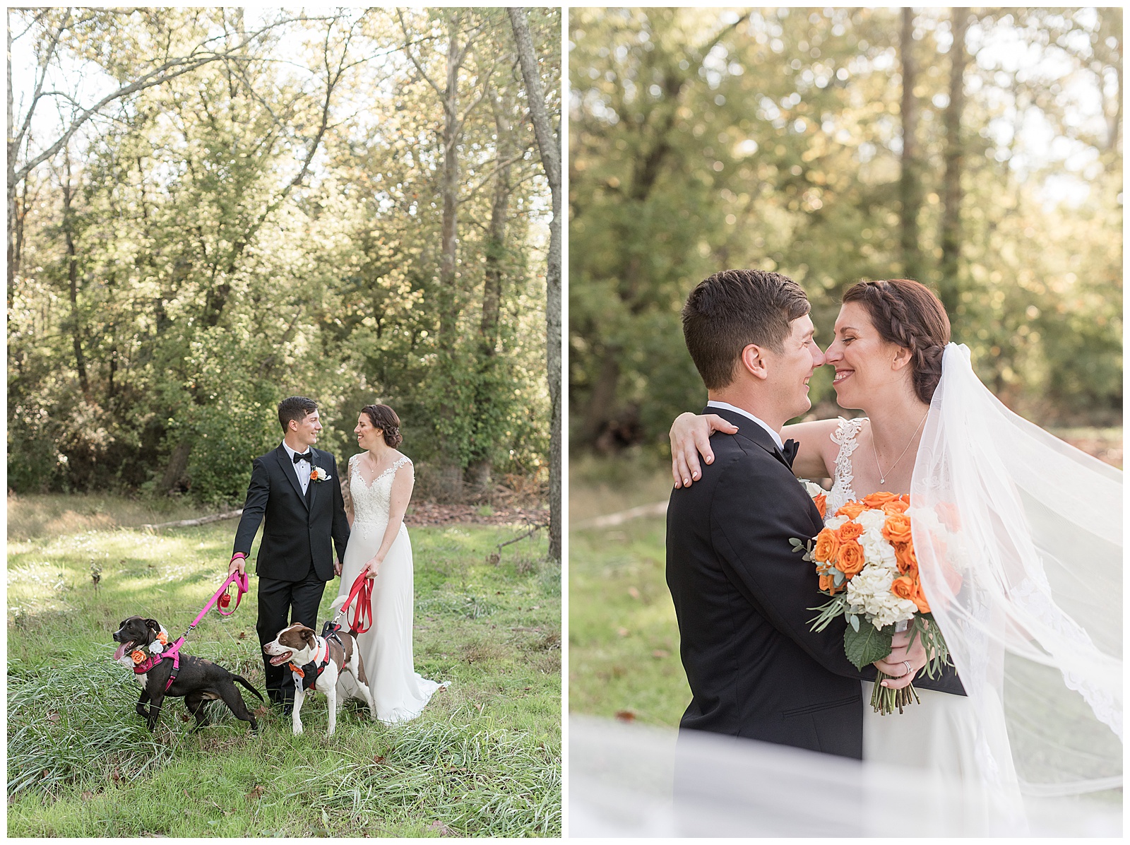 groom and bride looking at each other smiling as they walk toward camera holding their two dogs on tree-lined property