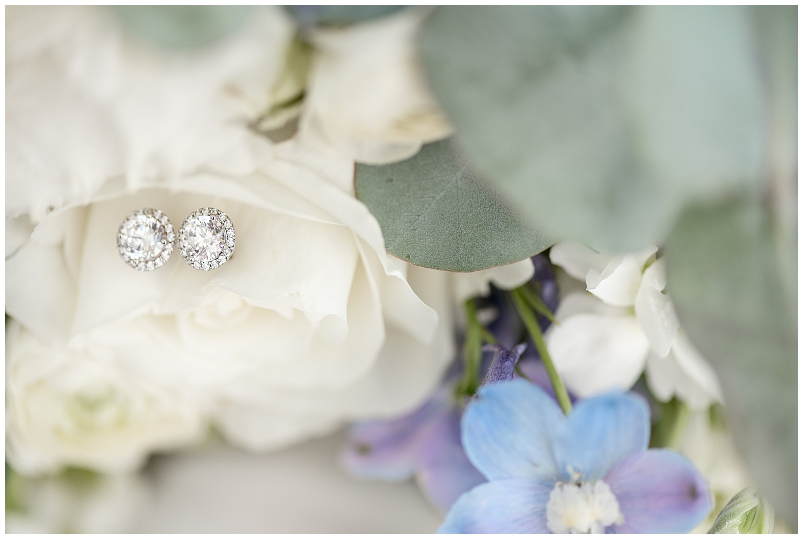 bride's diamond earrings resting inside white rose in long island, new york
