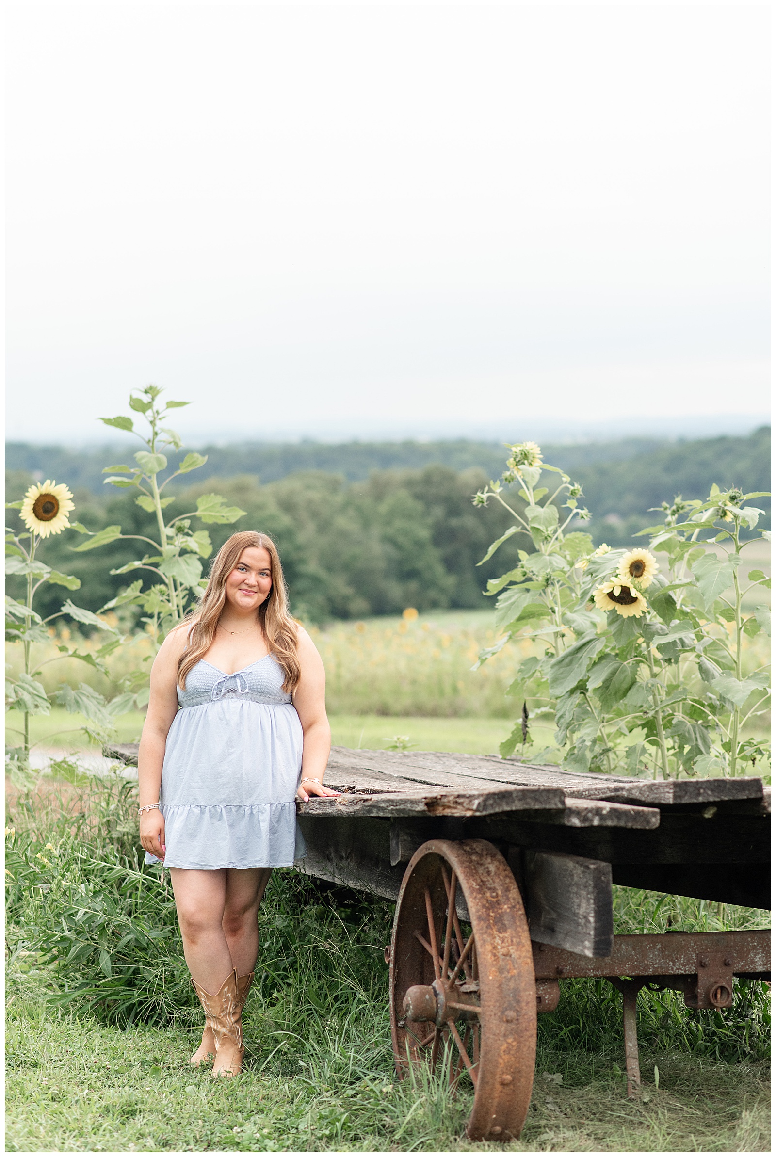 senior girl in light blue dress leaning against old wooden farm equipment for this Cloudy Wildflower Field Senior Session