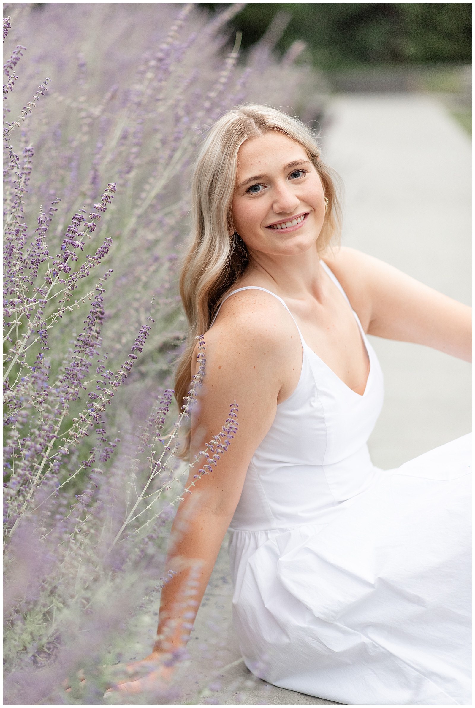 senior girl sitting on sidewalk beside lavender plant at this Masonic Village Summer Senior Session