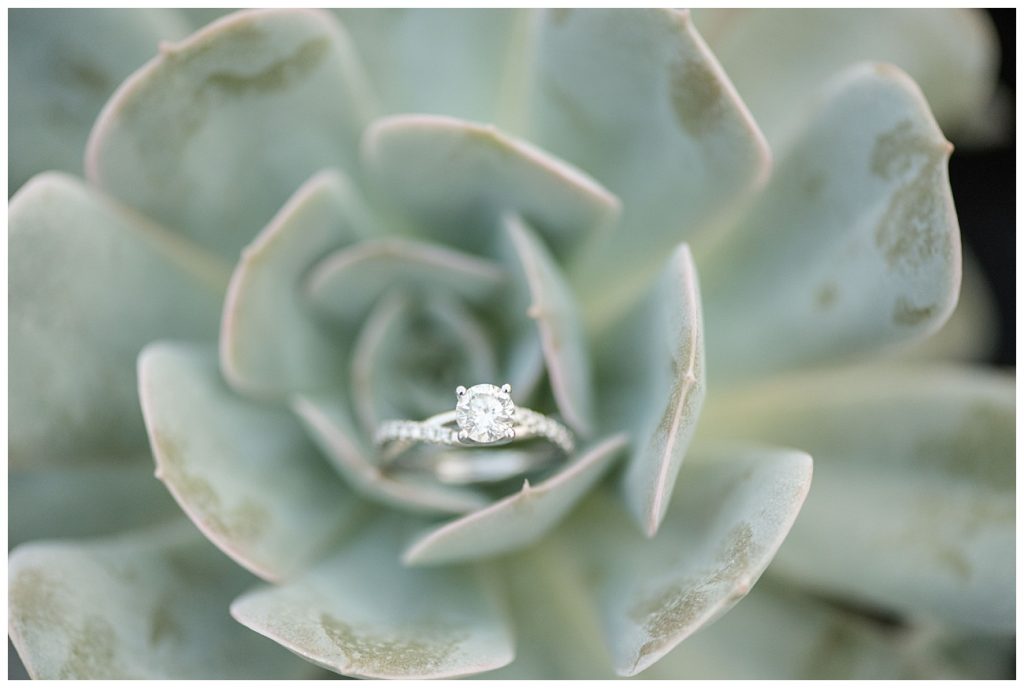 engagement ring and succulent