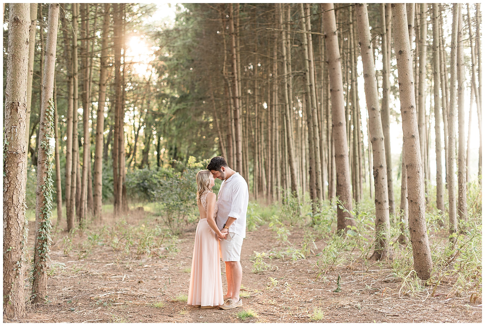couple holding hands and looking at each other surrounded by rows of pine trees