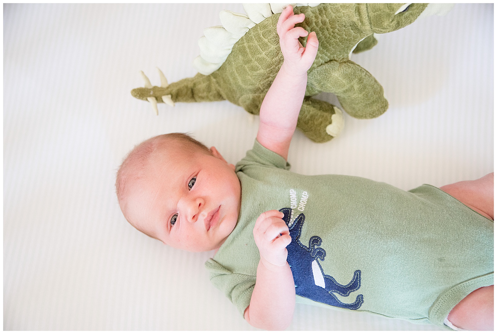 baby laying beside dinosaur