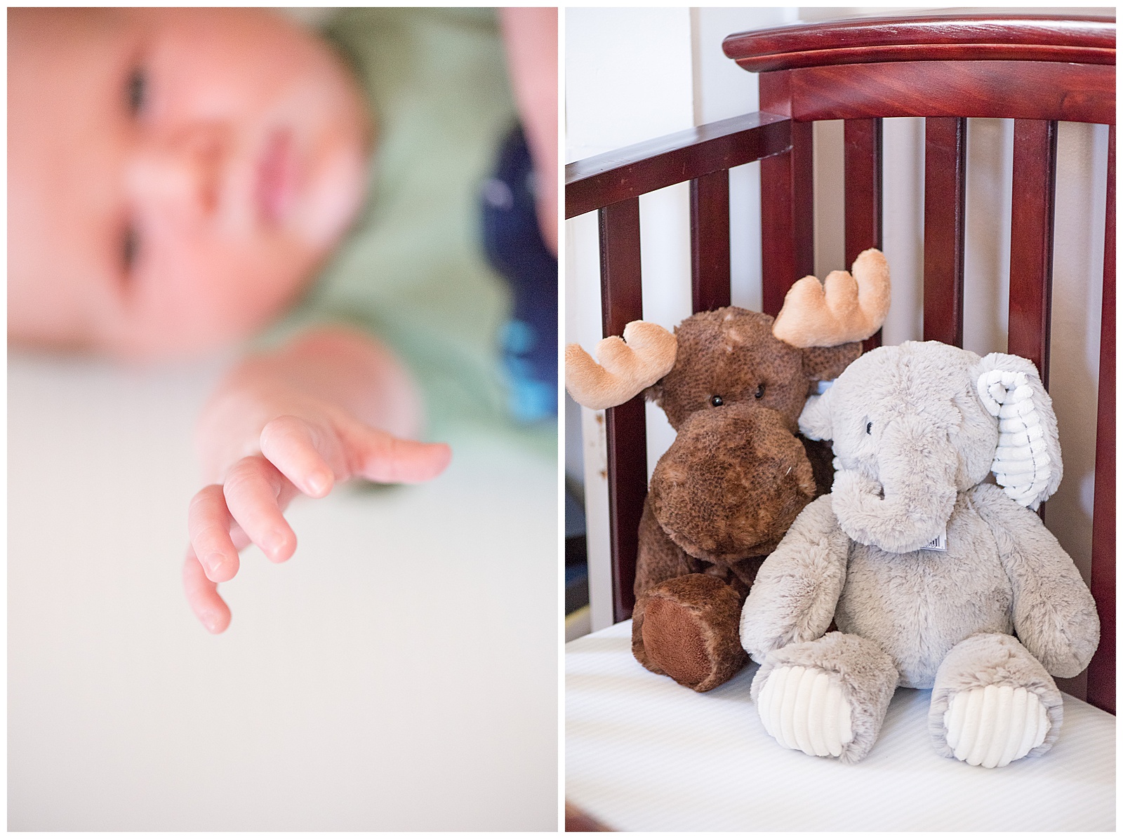 babies hand and stuffed animals