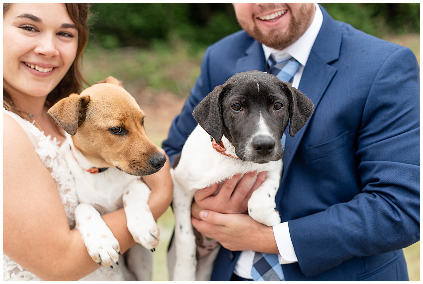 bride and groom holding two puppies at wedding ceremony
