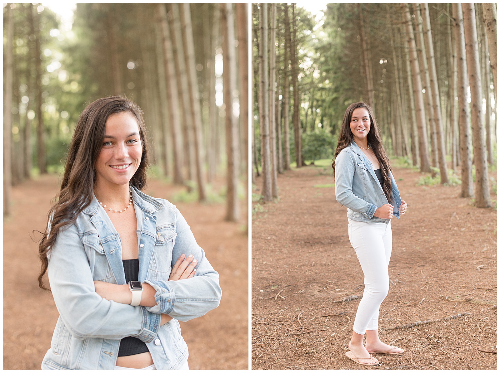 senior session at Overlook Park at a grove of pine trees 