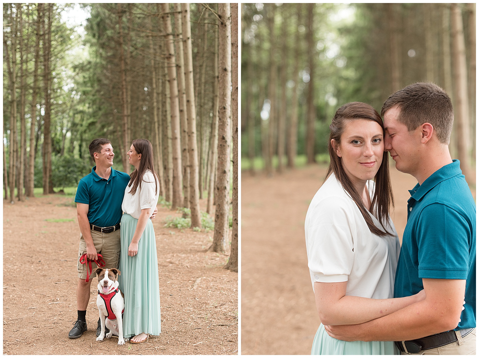 the couple is standing close together with the guy on the left and the girl on the right and she is turned slightly towards him with her left arm by her side and the guy is holding the dog's leash in his right hand as the dog is between them looking directly at the camera and the couple is looking at each other while standing on the path with the evergreen trees on both sides of them at Overlook Park in Lancaster, PA, close up photo of the couple with the girl on the left side looking at the camera and slightly smiling with the guy on the right resting his head and face against the left side of her face and his eyes are closed and the couples has their arms around each other's waists while standing on the path with the rows of evergreen trees around them on an overcast evening at Overlook Park in Lancaster, PA
