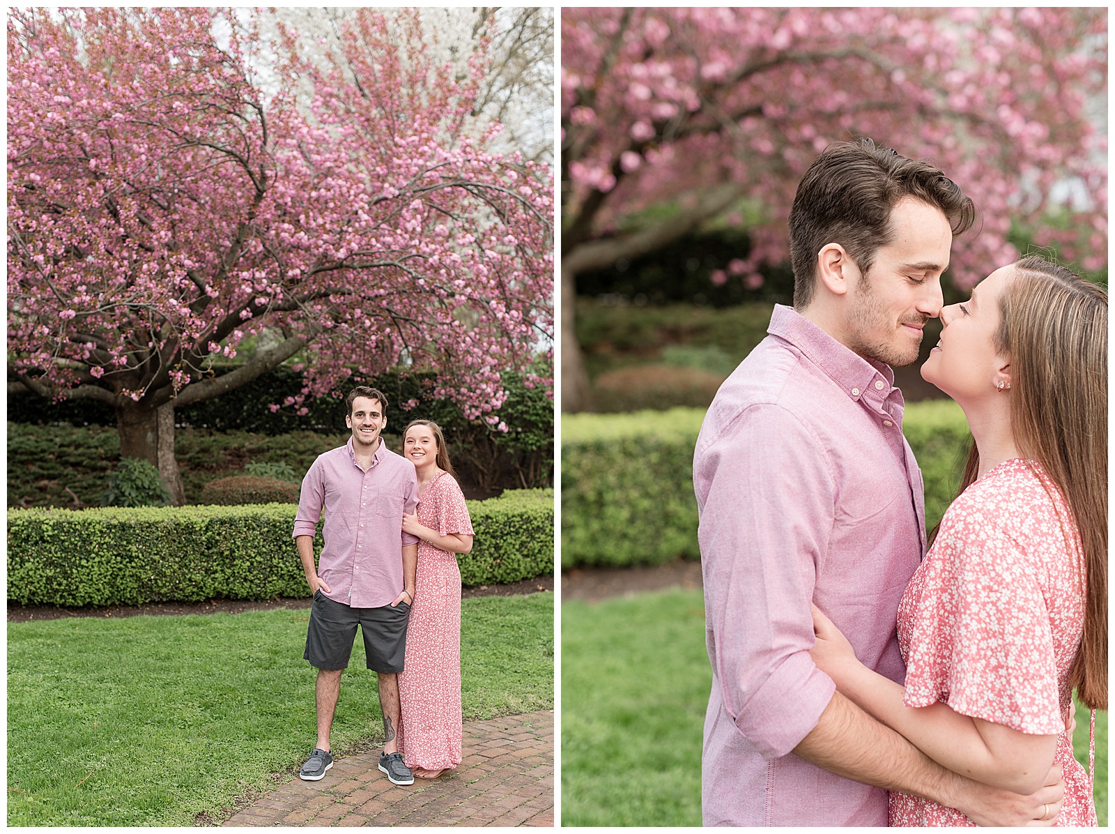 engaged couple standing close smiling by manicured lawn and beautiful blooming pink tree on spring evening