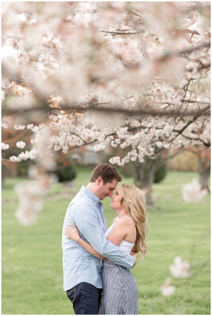 engaged couple almost kissing under blooming cherry blossom tree at overlook park