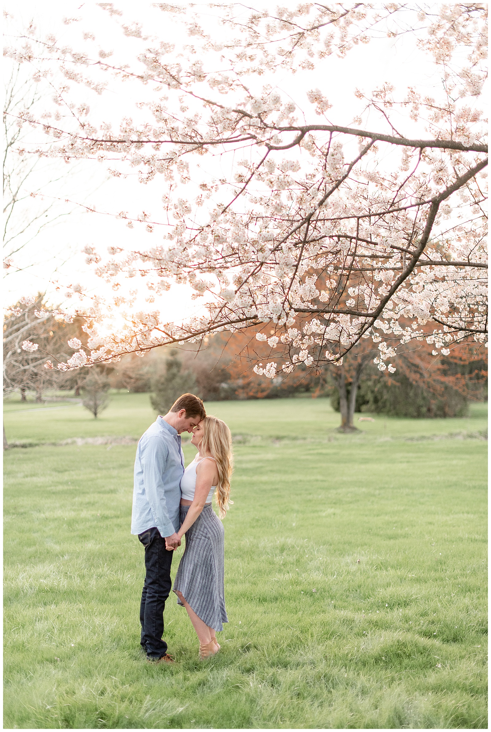 engaged couple standing close with foreheads touching under cherry blossom tree in lancaster, pennsylvania on spring evening