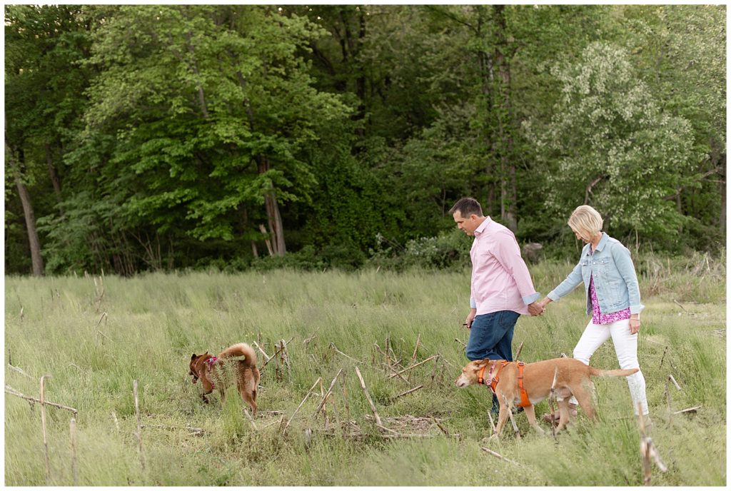 engaged couple walking in grassy meadow holding hands with their two dogs at masonic village