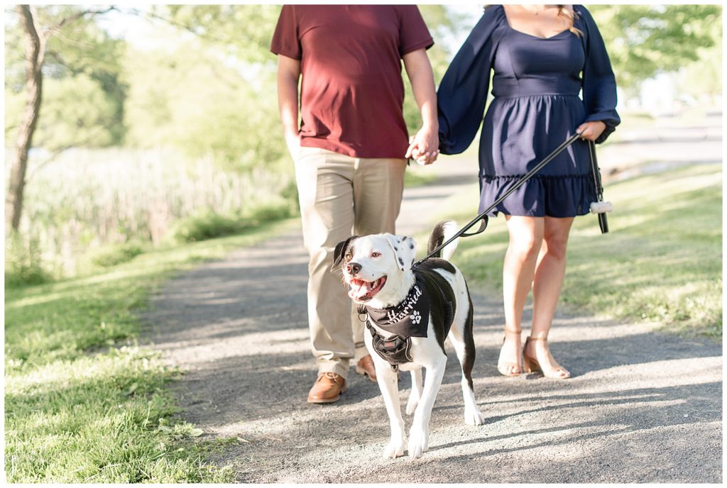 engaged couple holding hands with their leashed dog walking head of them on paved path at marsh creek state park