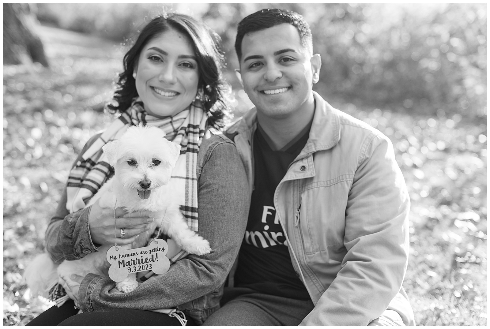 black and white photo of engaged couple sitting with their small white dog at pinnacle overlook in holtwood pennsylvania