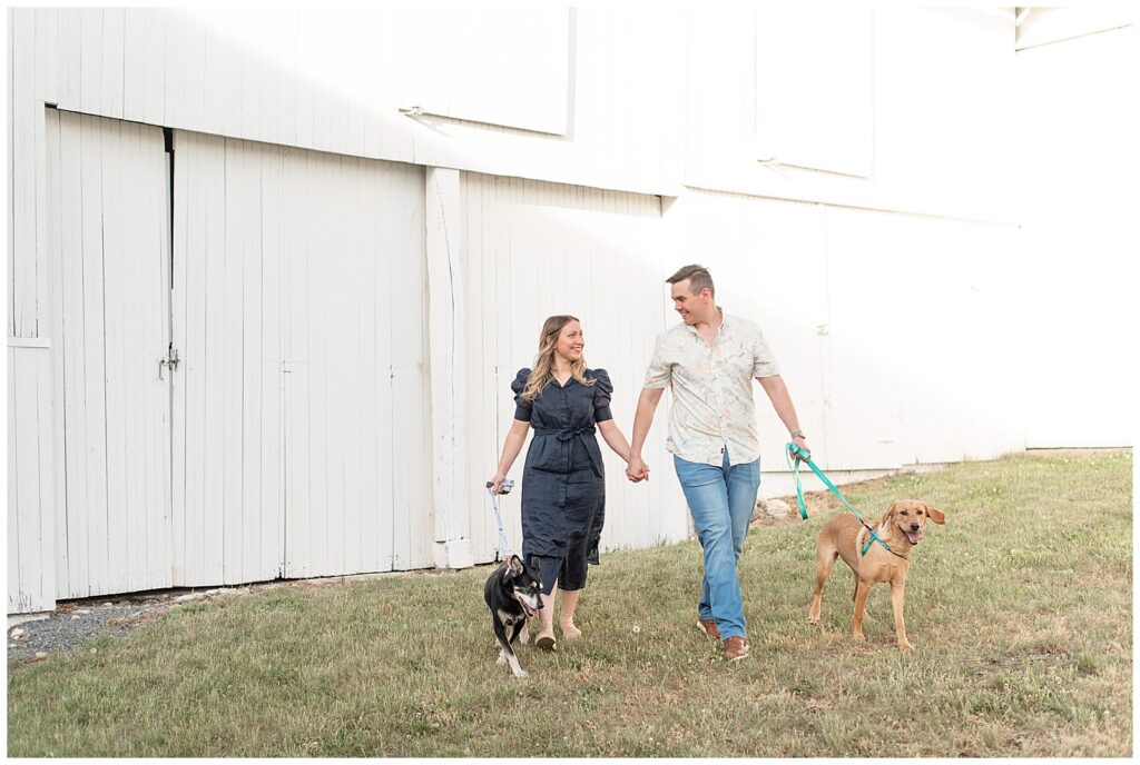 engaged couple holding hands as they each also hold a leash for their two dogs by white barn in pennsylvania